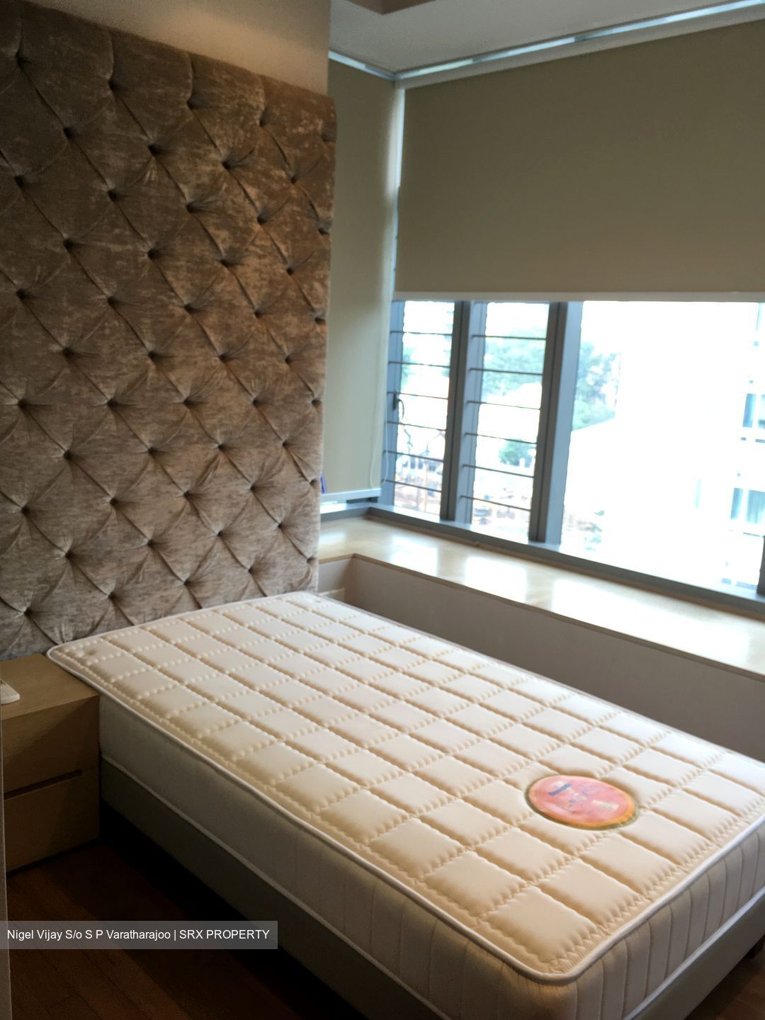 Residences @ Evelyn (D11), Condominium #292978201